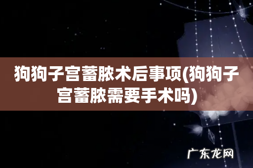 狗狗子宫蓄脓需要手术吗 狗狗子宫蓄脓术后事项