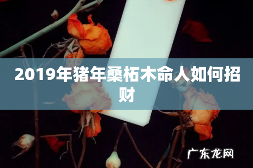 2019年猪年桑柘木命人如何招财
