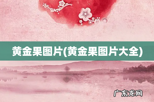 黄金果图片大全 黄金果图片