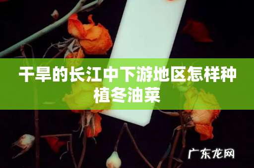 干旱的长江中下游地区怎样种植冬油菜