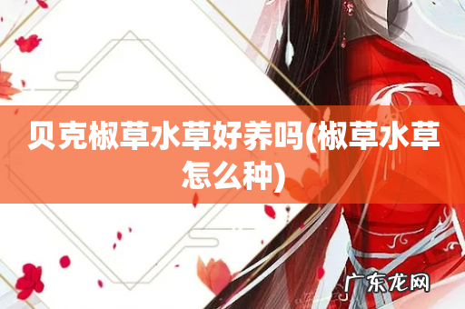 椒草水草怎么种 贝克椒草水草好养吗