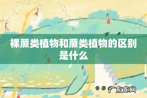 裸蕨类植物和蕨类植物的区别是什么