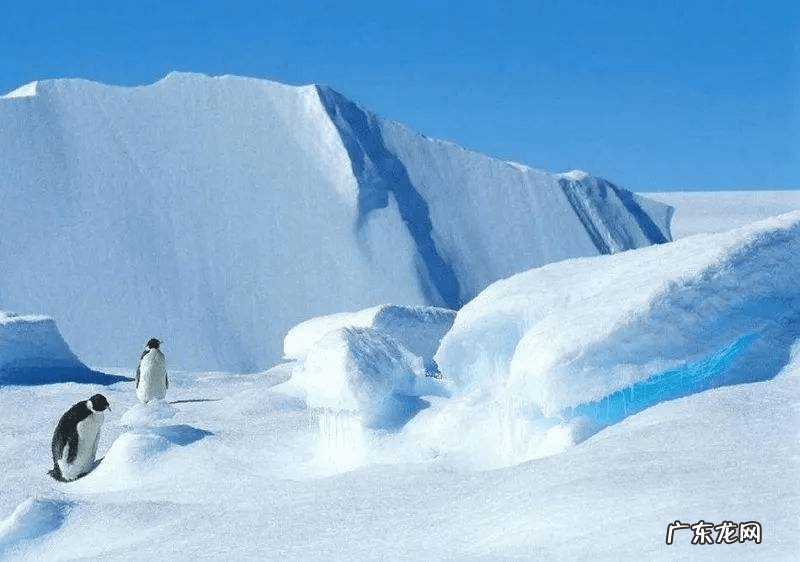 南极冰山的图片