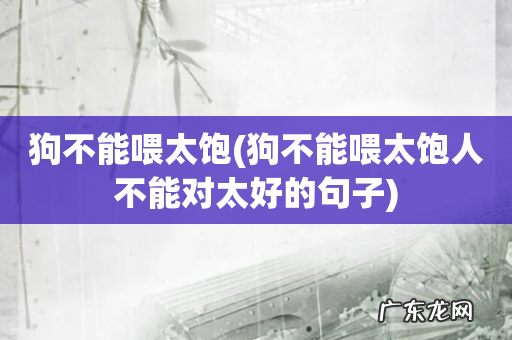 狗不能喂太饱人不能对太好的句子 狗不能喂太饱