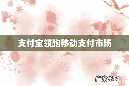 支付宝领跑移动支付市场
