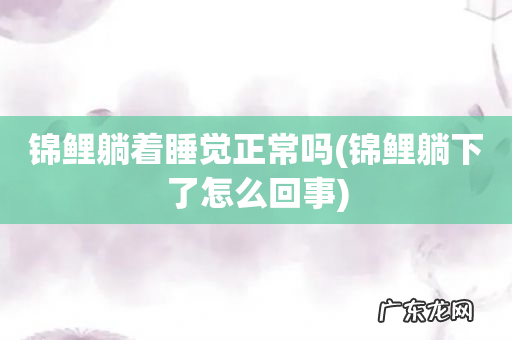 锦鲤躺下了怎么回事 锦鲤躺着睡觉正常吗