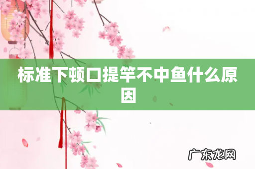 标准下顿口提竿不中鱼什么原因