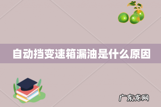 自动挡变速箱漏油是什么原因