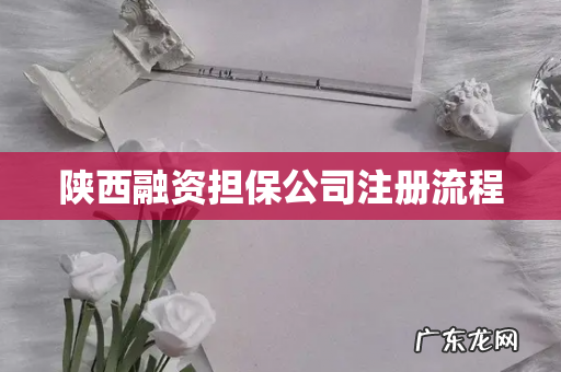 陕西融资担保公司注册流程