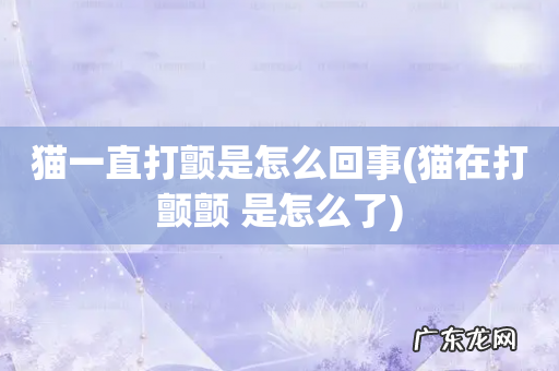 猫在打颤颤 是怎么了 猫一直打颤是怎么回事