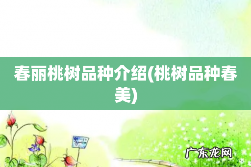 桃树品种春美 春丽桃树品种介绍