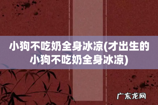 才出生的小狗不吃奶全身冰凉 小狗不吃奶全身冰凉