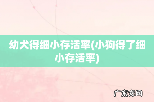 小狗得了细小存活率 幼犬得细小存活率
