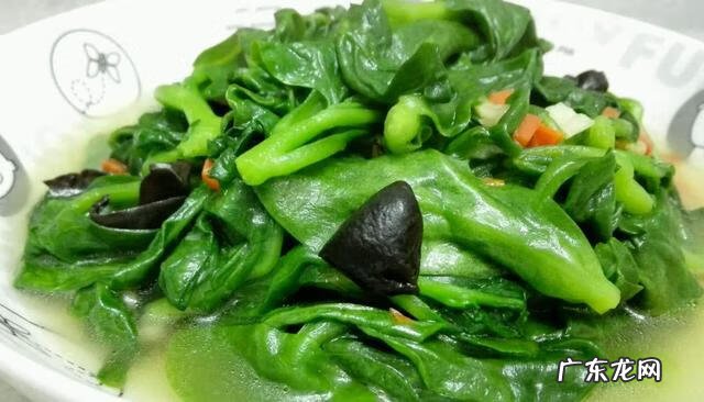 炒木耳菜的做法大全 木耳菜的做法大全家常菜
