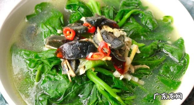 炒木耳菜的做法大全 木耳菜的做法大全家常菜