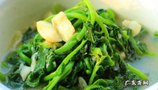 炒木耳菜的做法大全 木耳菜的做法大全家常菜