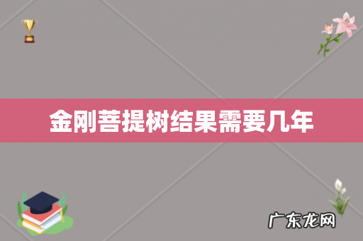 金刚菩提树结果需要几年