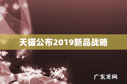 天猫公布2019新品战略
