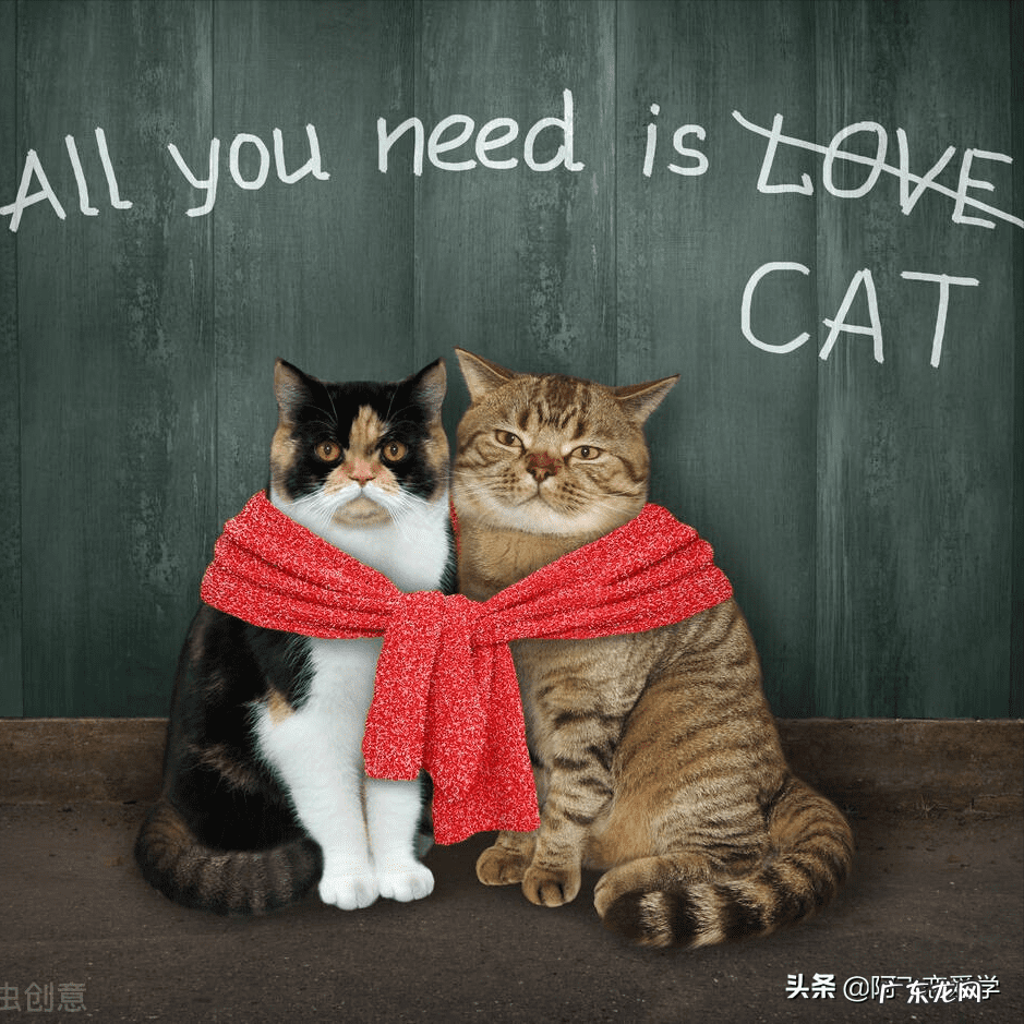 祛痘小妙招 怎样去逗?