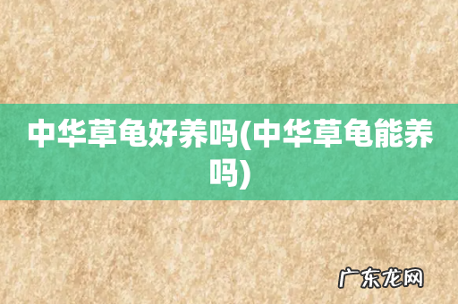 中华草龟能养吗 中华草龟好养吗