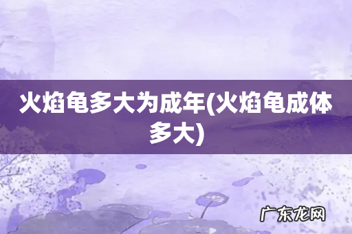 火焰龟成体多大 火焰龟多大为成年