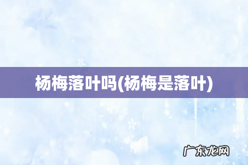 杨梅是落叶 杨梅落叶吗