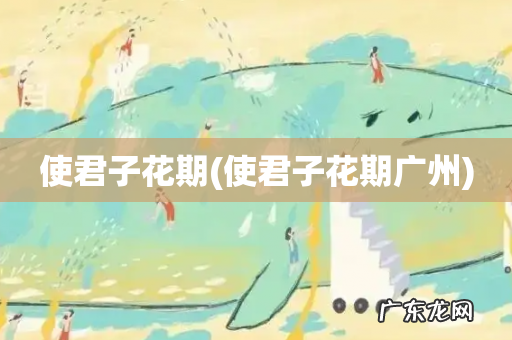 使君子花期广州 使君子花期