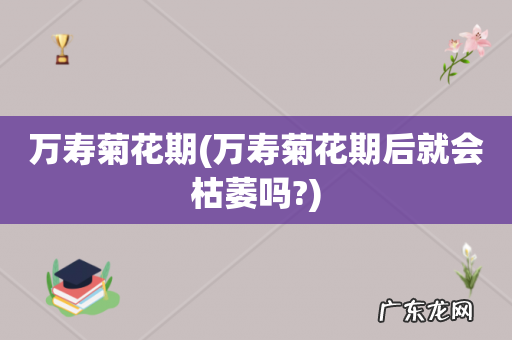 万寿菊花期后就会枯萎吗? 万寿菊花期