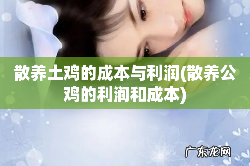 散养公鸡的利润和成本 散养土鸡的成本与利润