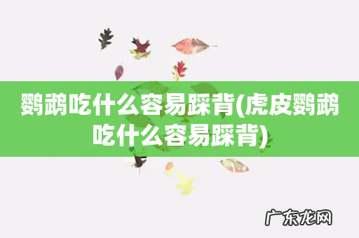 虎皮鹦鹉吃什么容易踩背 鹦鹉吃什么容易踩背