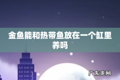 金鱼能和热带鱼放在一个缸里养吗