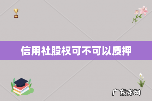 信用社股权可不可以质押
