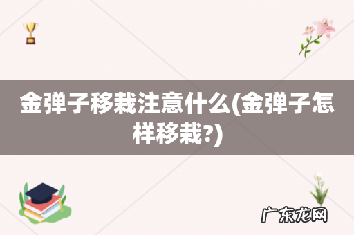 金弹子怎样移栽? 金弹子移栽注意什么