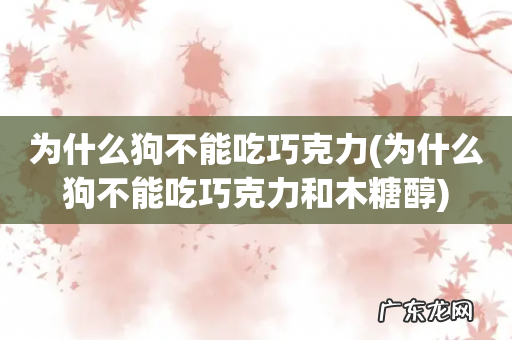 为什么狗不能吃巧克力和木糖醇 为什么狗不能吃巧克力