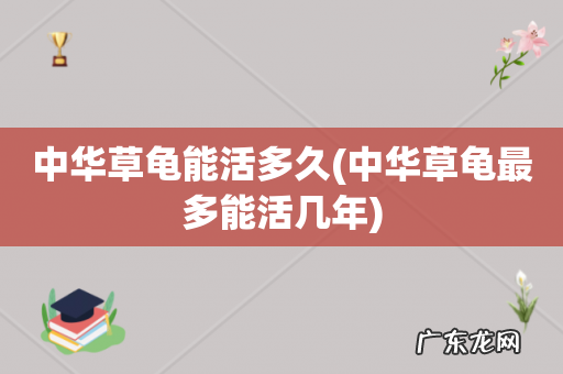 中华草龟最多能活几年 中华草龟能活多久