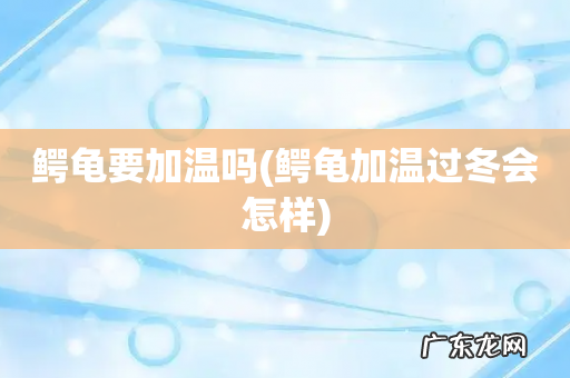 鳄龟加温过冬会怎样 鳄龟要加温吗