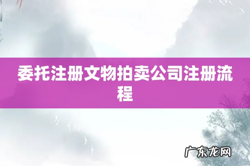 委托注册文物拍卖公司注册流程