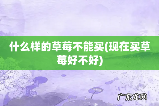 现在买草莓好不好 什么样的草莓不能买