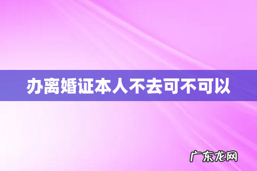 办离婚证本人不去可不可以
