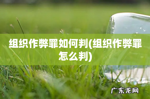 组织作弊罪怎么判 组织作弊罪如何判