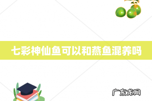 七彩神仙鱼可以和燕鱼混养吗