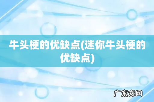 迷你牛头梗的优缺点 牛头梗的优缺点
