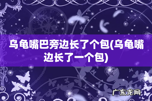 乌龟嘴边长了一个包 乌龟嘴巴旁边长了个包