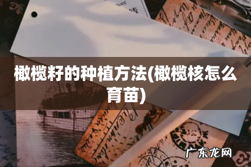 橄榄核怎么育苗 橄榄籽的种植方法