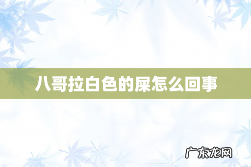 八哥拉白色的屎怎么回事