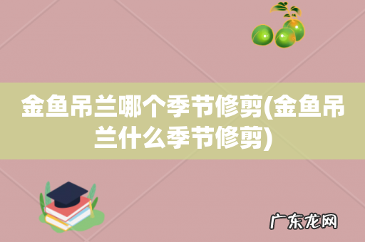 金鱼吊兰什么季节修剪 金鱼吊兰哪个季节修剪