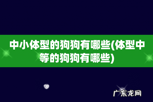 体型中等的狗狗有哪些 中小体型的狗狗有哪些