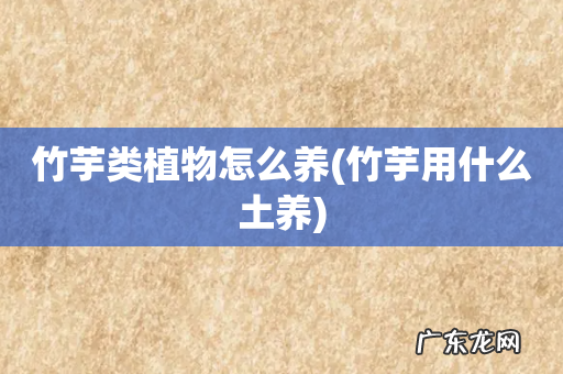 竹芋用什么土养 竹芋类植物怎么养