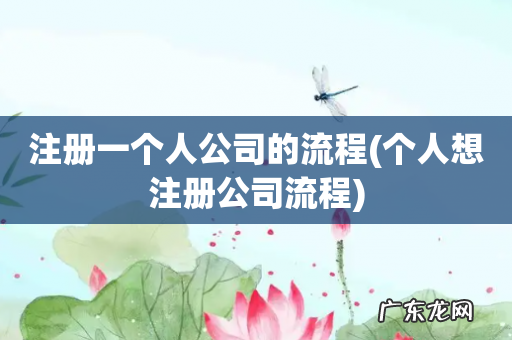 个人想注册公司流程 注册一个人公司的流程