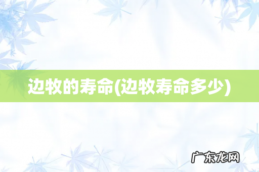 边牧寿命多少 边牧的寿命